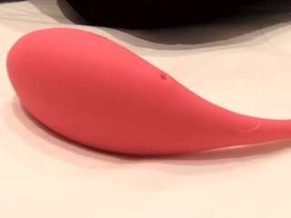 malikastar27