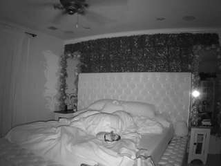 voyeurcam-laurenphillips