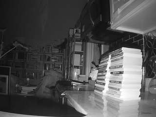 voyeurcam-bridgetleewalters-02