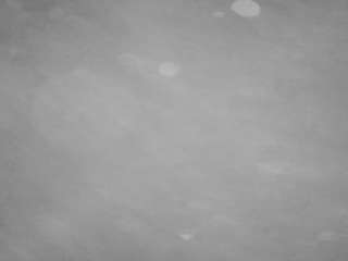 voyeurcam-casa-salsa-pool-1