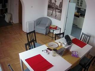 voyeurcam-julmodels-dining